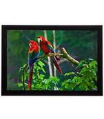 Parrots Pair Satin Matt Texture UV Art Painting