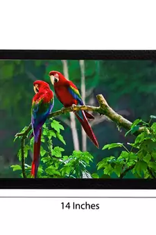Parrots Pair Satin Matt Texture UV Art Painting