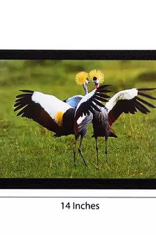 Dancing Birds Satin Matt Texture UV Art Painting