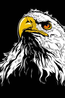 Abstract Eagle Satin Matt Texture UV Art Painting