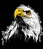 Abstract Eagle Satin Matt Texture UV Art Painting