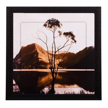 Live Tree Design Satin Matt Texture UV Art Painting 1