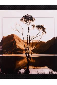 Live Tree Design Satin Matt Texture UV Art Painting