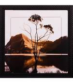 Live Tree Design Satin Matt Texture UV Art Painting