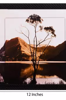 Live Tree Design Satin Matt Texture UV Art Painting