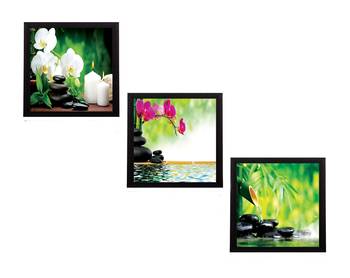 Set Of 3 Flora and Stones Satin Matt Texture UV Art Painting 1
