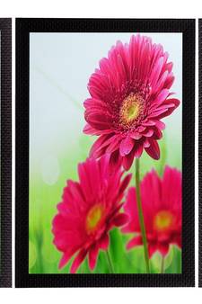 Set Of 3 Colorful Botanical Floral Satin Matt Texture UV Art Painting