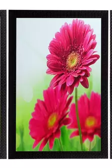 Set Of 3 Colorful Botanical Floral Satin Matt Texture UV Art Painting