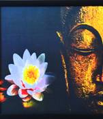Meditating Buddha Design Satin Matt Texture UV Art Painting