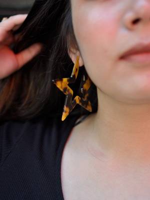 Brown Earrings 2