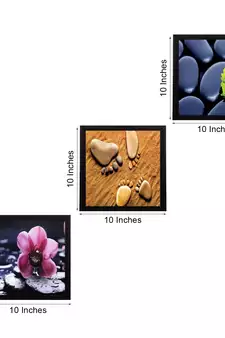 Set Of 3 Natural Beauty Shots Satin Matt Texture UV Art Painting