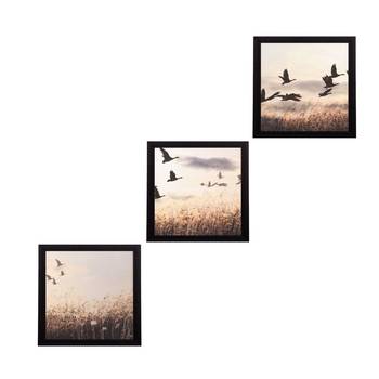 Set Of 3 Flying Birds Scenary Satin Matt Texture UV Art Painting 1