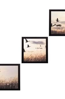 Set Of 3 Flying Birds Scenary Satin Matt Texture UV Art Painting