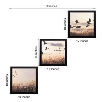 Set Of 3 Flying Birds Scenary Satin Matt Texture UV Art Painting 2