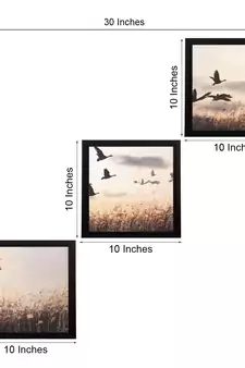 Set Of 3 Flying Birds Scenary Satin Matt Texture UV Art Painting