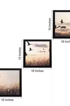 Set Of 3 Flying Birds Scenary Satin Matt Texture UV Art Painting