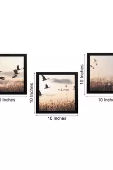 Set Of 3 Flying Birds Scenary Satin Matt Texture UV Art Painting