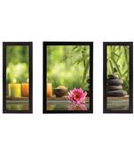 Set of 3 Floral Theme Satin Matt Texture UV Art Painting