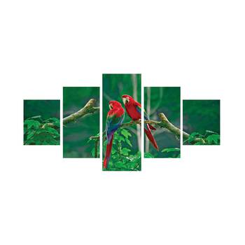 Set of 5 Parrots Pair Premium Canvas Painting 1