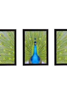 Set Of 3 Gorgeous Geometrical Flower Satin Matt Texture UV Art Painting