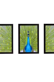 Set Of 3 Gorgeous Geometrical Flower Satin Matt Texture UV Art Painting