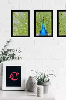 Set Of 3 Gorgeous Geometrical Flower Satin Matt Texture UV Art Painting