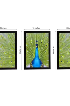 Set Of 3 Gorgeous Geometrical Flower Satin Matt Texture UV Art Painting