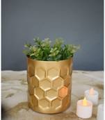Color Palatte Honeycomb Planter - Gold