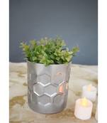Color Palatte Honeycomb Planter -Silver