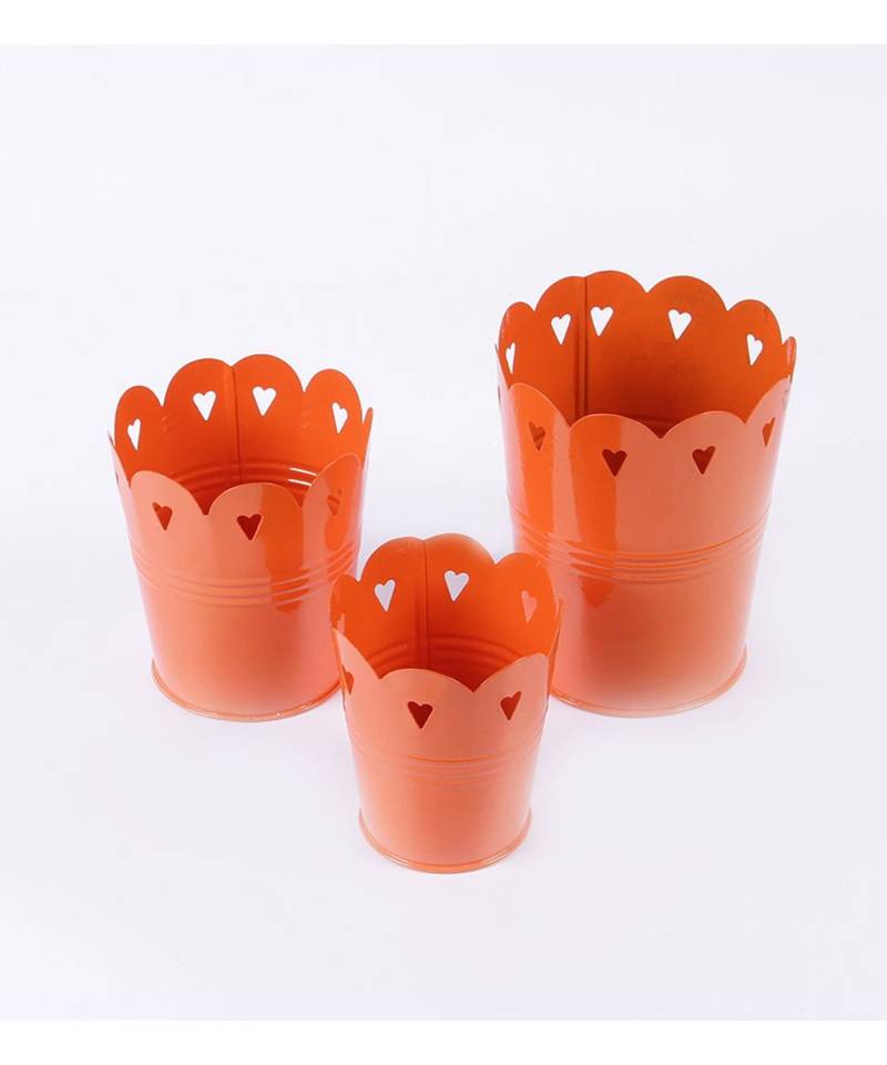 Color Palatte Orange Heart Planter Set