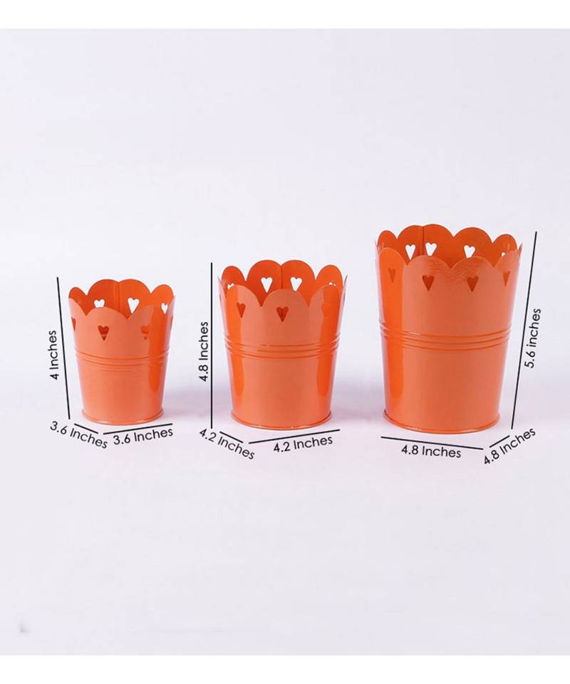 Color Palatte Orange Heart Planter Set
