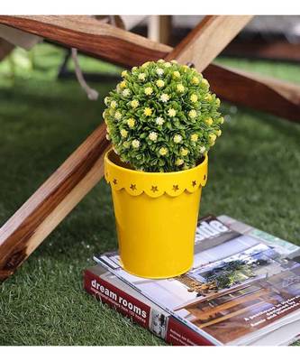 Color Palatte Yellow Star Planter 1