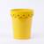 Color Palatte Yellow Star Planter