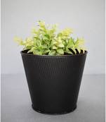 Black Embossed Planter