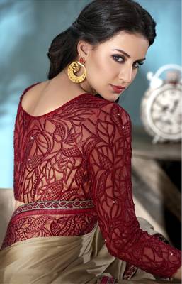 Beige embroidered chiffon saree with blouse 3
