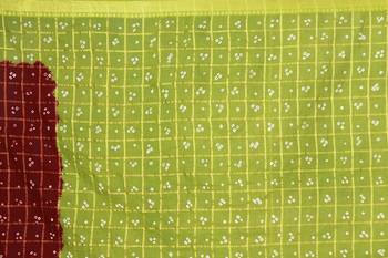 Multicolor hand woven art silk saree with blouse 5