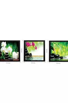 Set Of 3 Flora and Stones Satin Matt Texture UV Art Painting