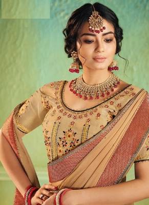 Chiku embroidered chiffon saree with blouse 2