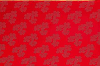 Red embroidered chiffon saree with blouse 4