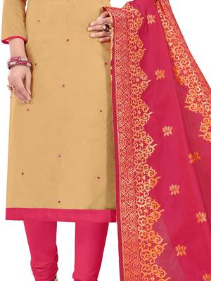 Beige Embroidered Cotton Salwar 4