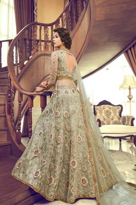 Light-green embroidered net salwar 2