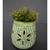 Hanging Organiser cum Planter