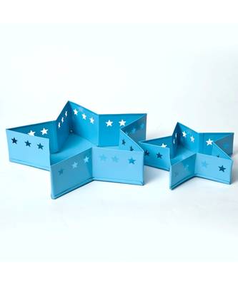 Star Tray Container cum Organiser 3