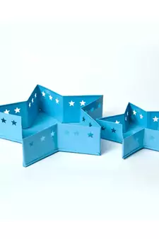 Star Tray Container cum Organiser
