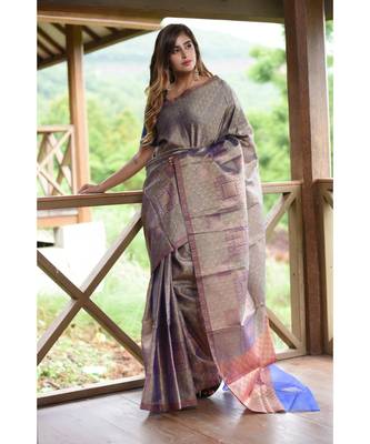 Blue Shade Banarasi Organza Handwoven saree with blouse 2