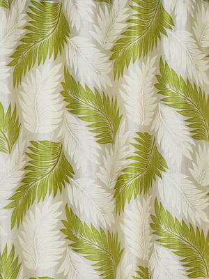 green Polyester Plain Printed Door Curtains for Bedroom, Kitchen, Kids or Living Room 2