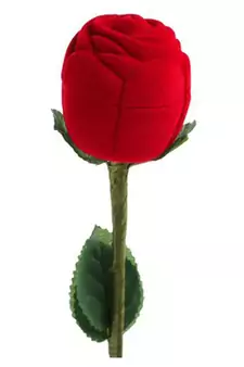Atorakushon Romantic Rose Ring Jewellery Vanity Box