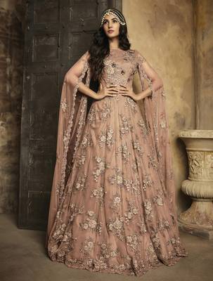 Light-chiku embroidered net salwar 1