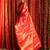 Firery Red Brocade Banaras Handloom Saree
