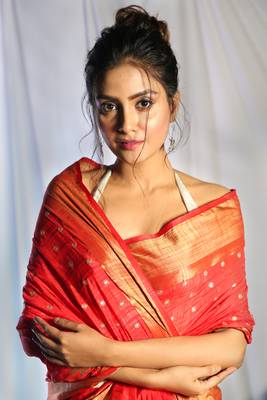 Red Dupion Silk Saree With Allover Small Butta Embroidery And Zari Pallu 3